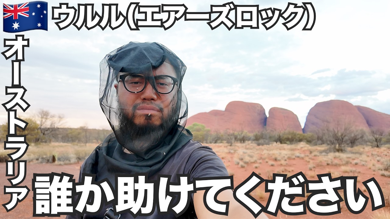 ウルル旅🇦🇺セカチューの舞台エアーズロックに行ってみた【オセアニア#22】2026年2月2日〜6日