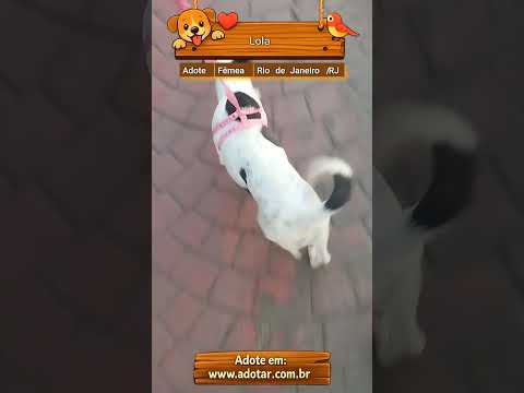 Vídeo de Lola