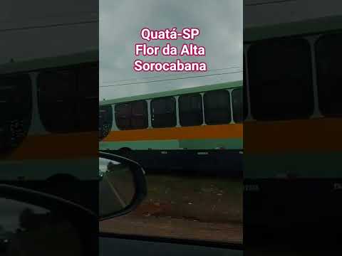 Flor da Alta Sorocabana, Quatá-SP . #youtube #shorts #youtubeshorts #@heleny2020