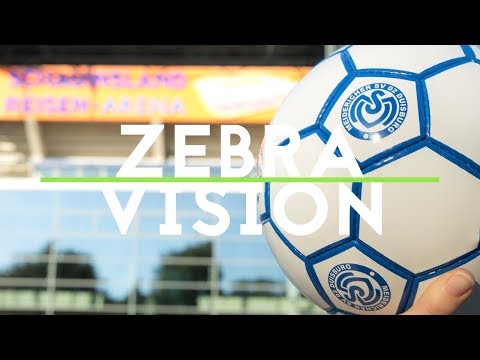 ZEBRAVISION | #36 | 2017/2018 | RÜCKBLICK REGENSBURG