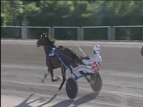 Trotto 29/04/2019 - 7ª corsa