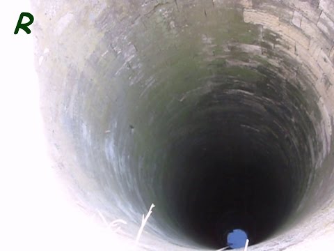 Поисковой магнит у гиганта продолжение истории