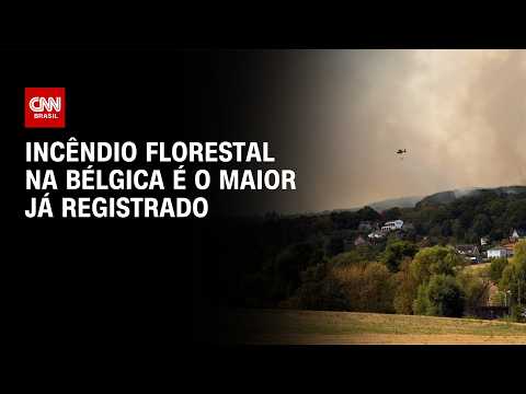 Bélgica tem maior incêndio florestal já registrado na história do país | CNN BRASIL