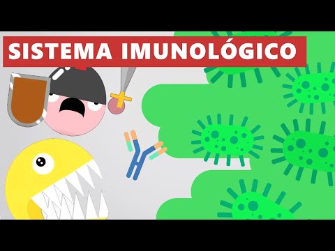 How does the immune system work? - Universe Explained [ANIMATION]