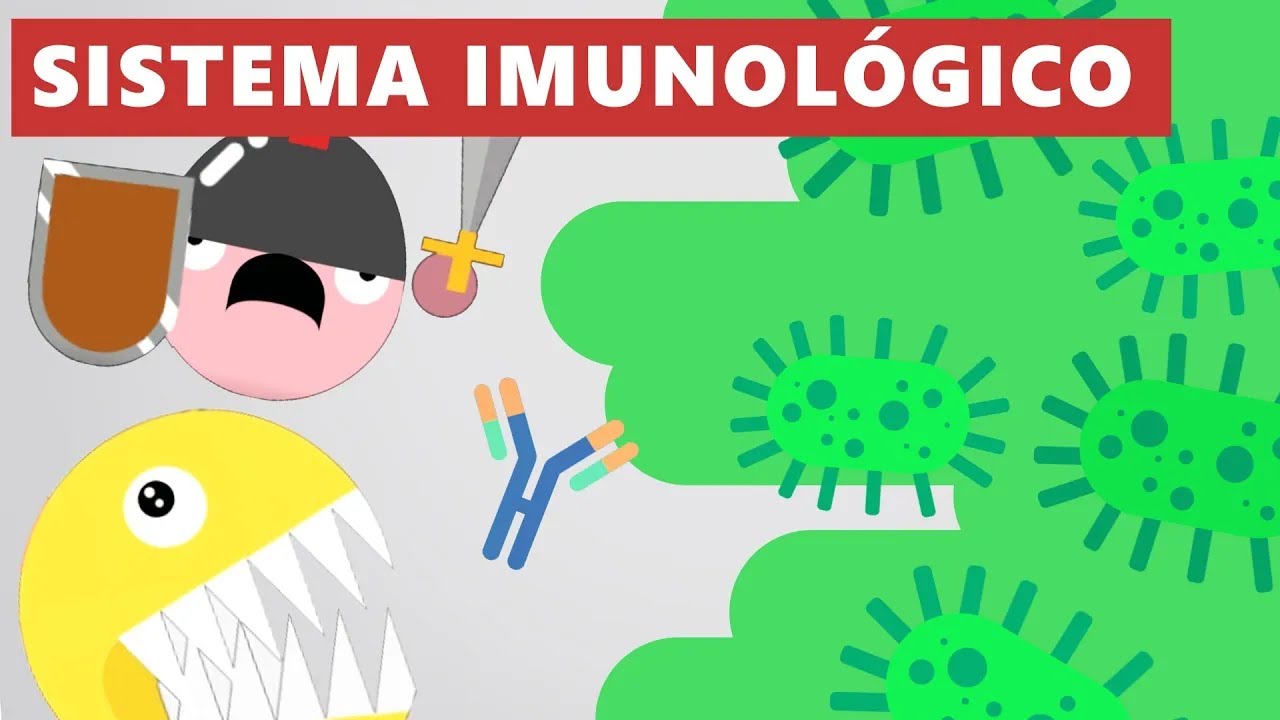 Como funciona o sistema imunológico? - Universo Explicado [ANIMAÇÃO]