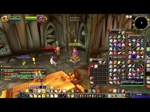 La ecuación elemental y la armadura Segahuesos, Enano Paladín WOW Lich