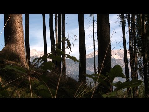 download lagu mp3 mp4 Klangspuren Schwaz, download lagu Klangspuren Schwaz gratis, unduh video klip Klangspuren Schwaz