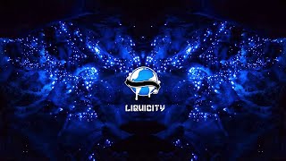 Camo &amp; Krooked - Last of The Tribe (Break Remix)