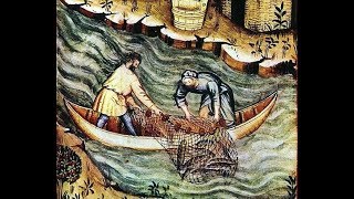 Pelagus. Baccalà e stoccafisso. Storia, proprietà, reidratazione e dissalazione, ricette