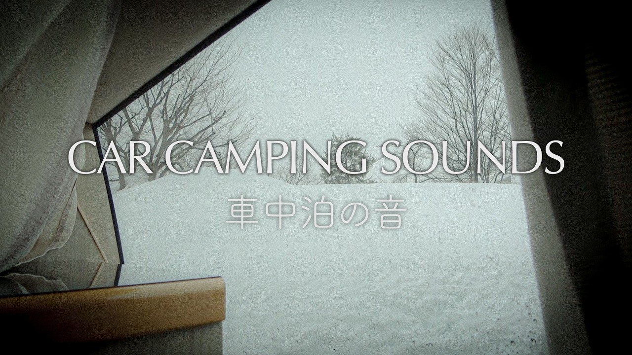 冬の雨の夜、車中泊の音｜静かな車内で過ごすひととき【無言・環境音】
