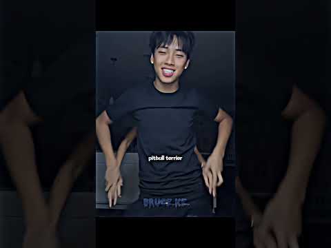 pitbull terrier dance😍 #danceedit