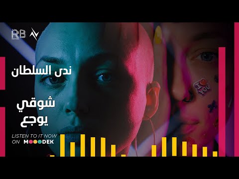 شوقي يوجع ندى السلطان