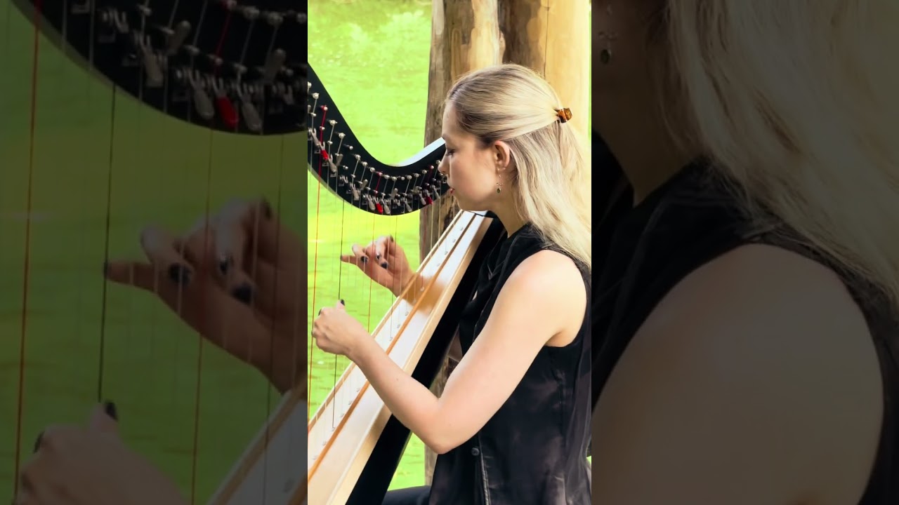 Promotional video thumbnail 2 for Adelina Minnigalieva