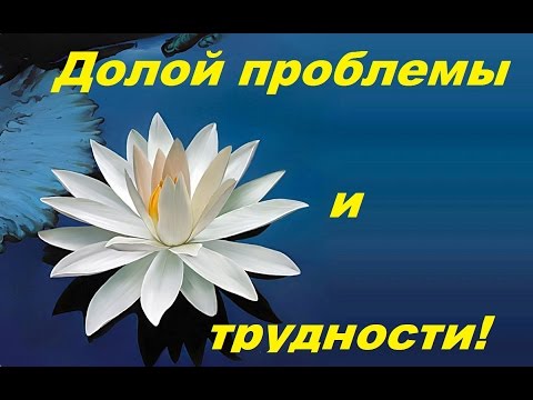 Долой проблемы и трудности!