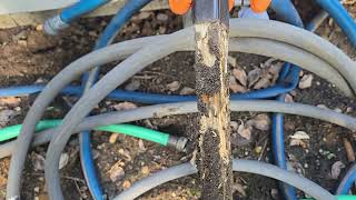 Termite Monitors Have Termites in Them in East Brunswick, NJ