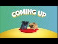 Disney Junior Coming Up Puppy Dog Pals Daytime Variant