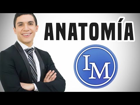 Introducción a la Anatomía Humana