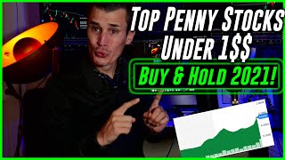 Top Penny Stocks Under $1 To Buy &amp; Hold 2021