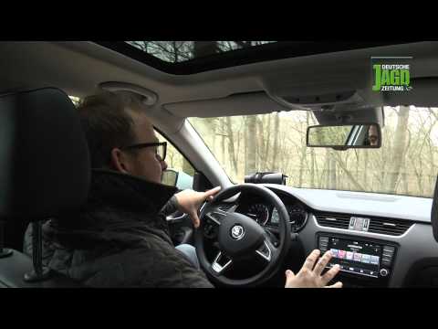 Skoda Octavia Scout im DJZ-Autotest