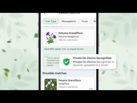 Plant Identifier & Plant Guide video thumbnail