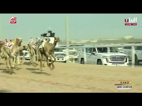 ش 8 (الابجر) لـ راشد محمد سعيد مروشد 7:26:33 , مهرجان الأمير الوالد 2026/2/6 لقايا الشحانية