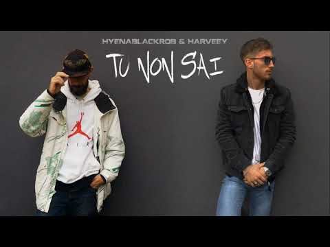 HYENABLACKROB & HARVEEY - TU NON SAI