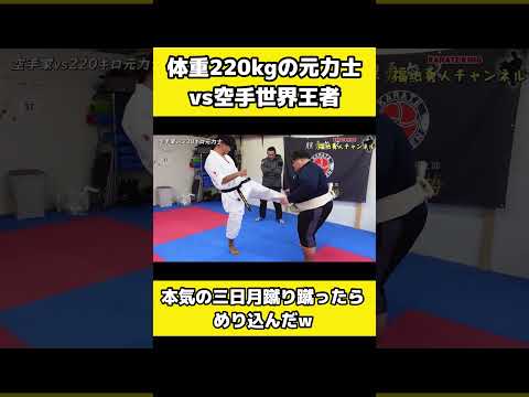 220kgの力士に【本気の三日月蹴り】を蹴った