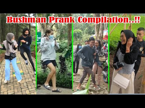 bushman-prank-compilation