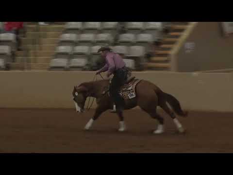 181013 Open Derby Randy Schaffhauser on That Kind of Nita