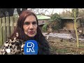 Bouwplannen in groen gebied Charloisse Lagedijk steeds dichterbij