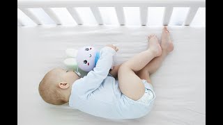 Download lagu Alilo Honey Bunny G6 mp3