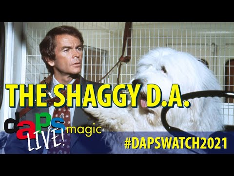 The Shaggy D.A. - #dapswatch2021 - DAPS MAGIC LIve!
