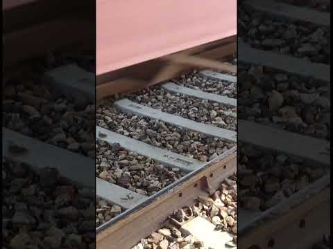 Dairy Milk Chocolate  VS  TRAIN