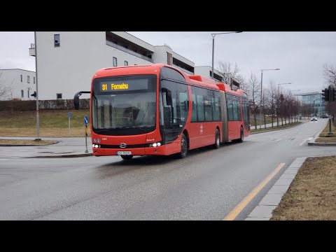 Buses in Oslo: Fornebu