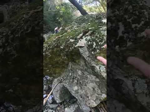 Trekking La Yibuza (parte 26) (Cuchilla de Laureles)