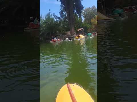 Thiago viaja en Bote junto a los patos de la Laguna Quinta normal. Domingo  19 de abril 2026