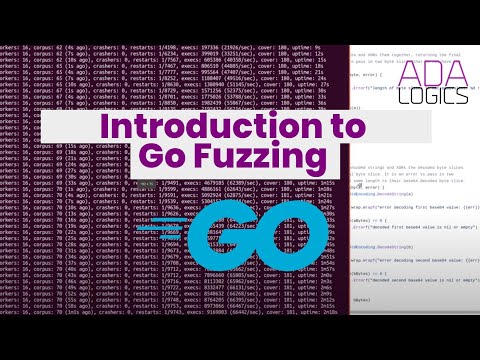 Introduction to Go fuzzing: fuzz your first project in a few minutes