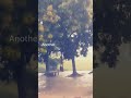 Faded Arabic Remix Song Lyrics Status Video Insta Story Fd Story