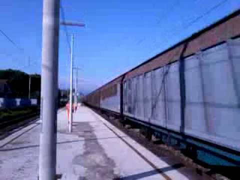 MRS Messina C.le-Bologna Int.