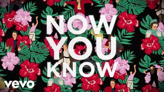 Weird Al Yankovic - Now You Know (Official 4K Lyric Video)