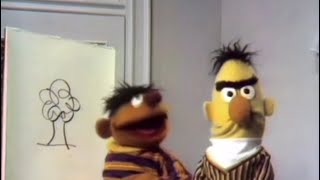 Classic Sesame Street- Ernie Draws a Llama 🦙 (1969, HD)