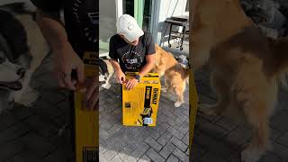 My dog ruined my patio… #dogsofyoutube #dog #dogs #goldenretriever #puppy