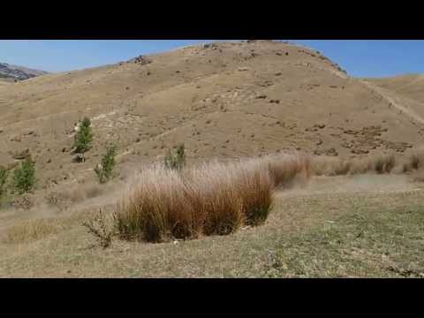 130210-masterton-trail-ride/P2101104