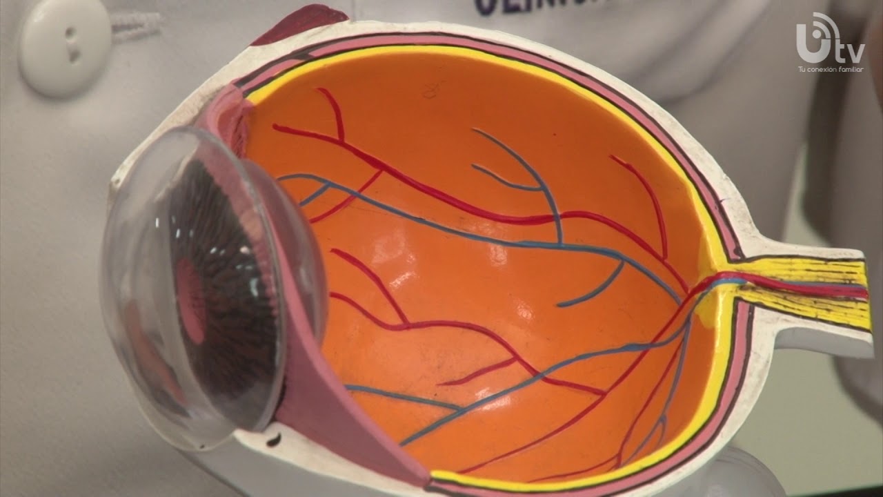 Edgar Angel Hidalgo Pecho-47