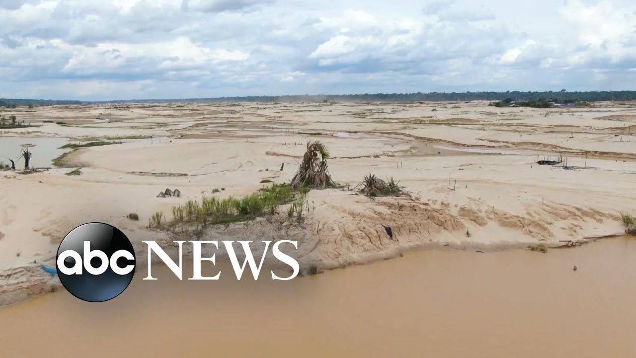 Killing the Amazon: How the rainforest is faring under deforestation