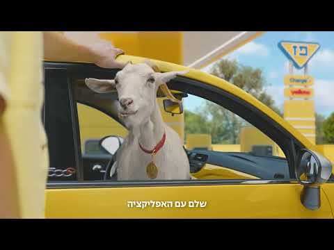 הארנק הדיגיטלי של פז yellow