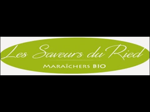 Les Saveurs du Ried - Maraîchage biologique à Holtzwihr (Alsace)