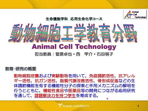 動物細胞工学/食品機能学