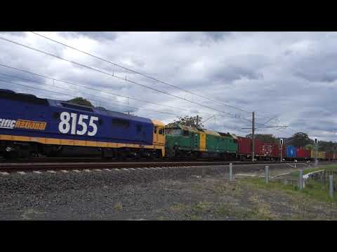 8211 / 8231 / 8155 / DL43 with PN 1437 - 18/9/21