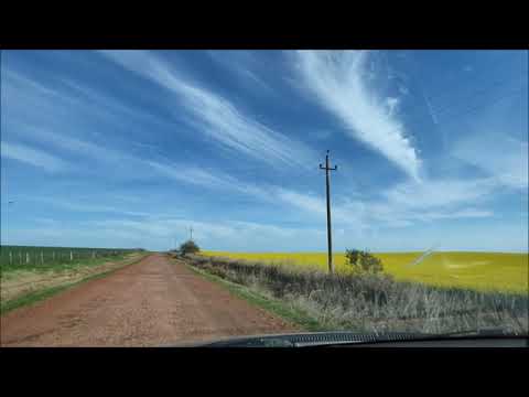 Camino ( cortada)  de Dolores a Agraciada ( Soriano )